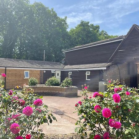 The Rose Cottage Wisborough Green المظهر الخارجي الصورة